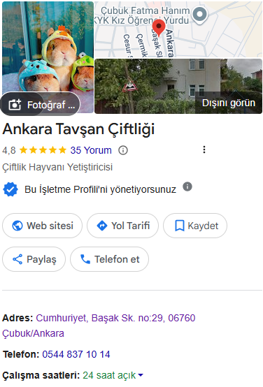 ankara-tavsan-ciftligi-google-yorumlari Tavşan Sahiplenme Rehberi