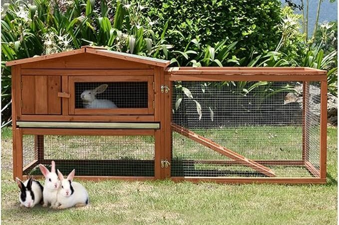 tavsanlar-icin-kumes Evcil Tavşan Bakımı, Yavru Tavşan Ankara