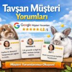 Ankara Tavşan Çiftliği Gerçek Yorumlar