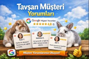 Ankara Tavşan Çiftliği Gerçek Yorumlar