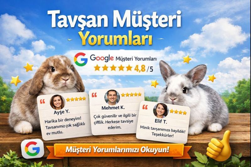 Ankara Tavşan Çiftliği Gerçek Yorumlar