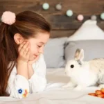 keciörende-tavsan-sahiplenme