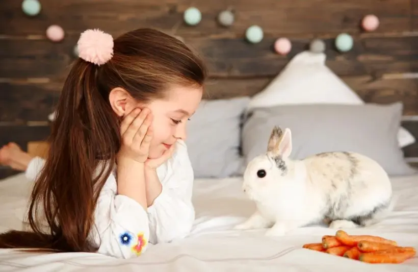 keciörende-tavsan-sahiplenme