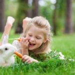 cankaya-tavsan-sahiplenme