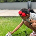 evde tavsan beslemek