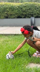 evde tavsan beslemek