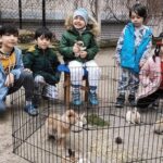 çiftliğimizdeki tavşanlar