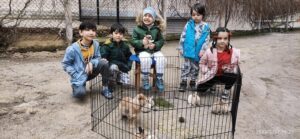 çiftliğimizdeki tavşanlar