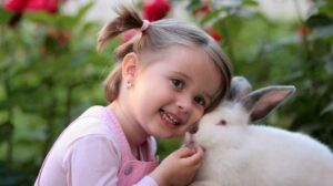 tavsan-evlat-edinme-sahiplenme