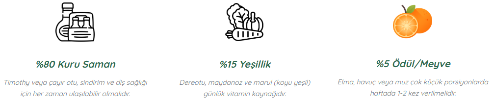 yiyecek Çankaya Tavşan Sahiplendirme